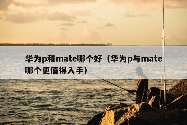 华为p和mate哪个好（华为p与mate哪个更值得入手）