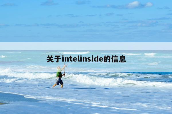 关于intelinside的信息