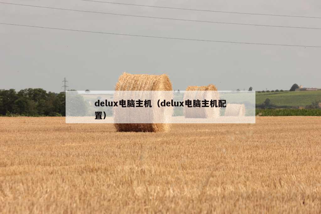 delux电脑主机（delux电脑主机配置）