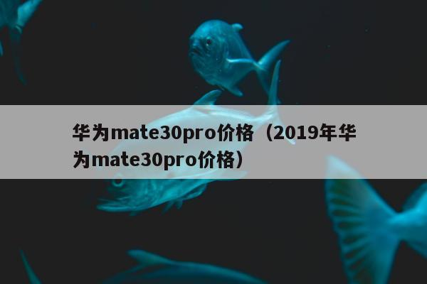 华为mate30pro价格（2019年华为mate30pro价格）