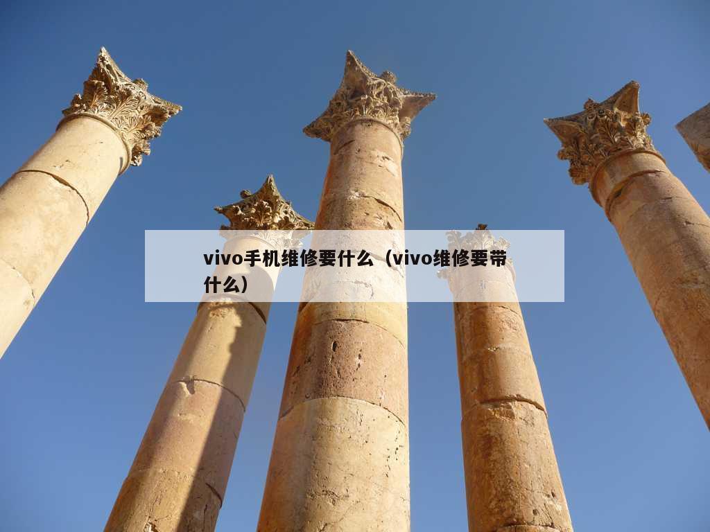 vivo手机维修要什么（vivo维修要带什么）