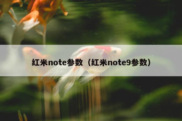 红米note参数（红米note9参数）