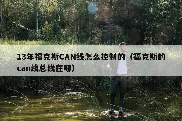 13年福克斯CAN线怎么控制的（福克斯的can线总线在哪）