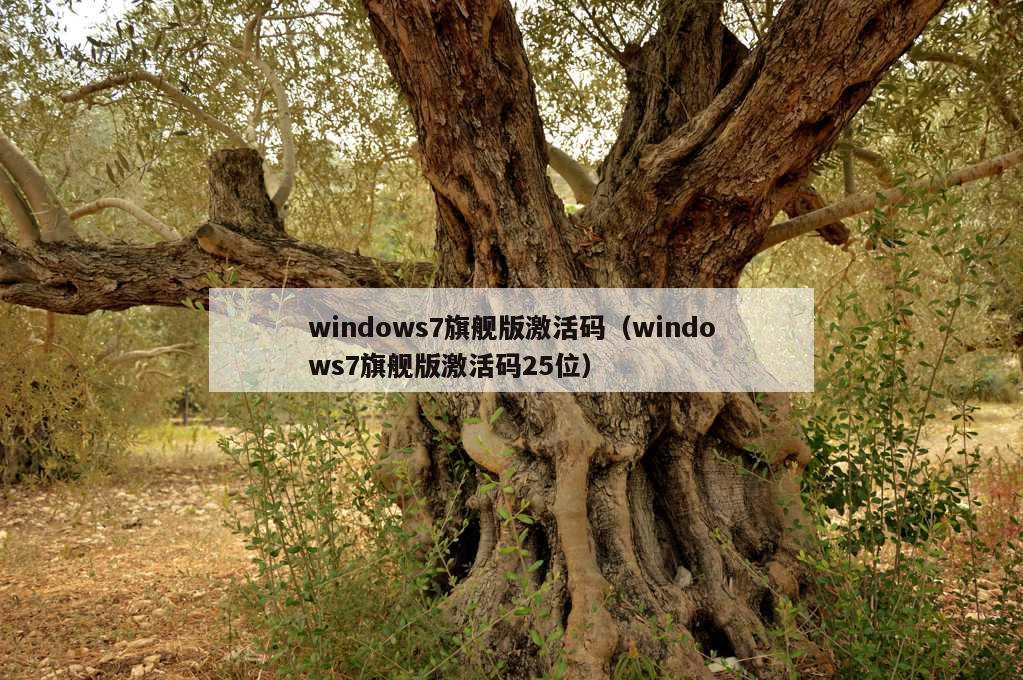 windows7旗舰版激活码（windows7旗舰版激活码25位）