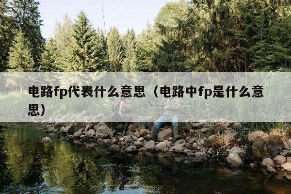 电路fp代表什么意思（电路中fp是什么意思）