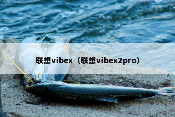 联想vibex（联想vibex2pro）