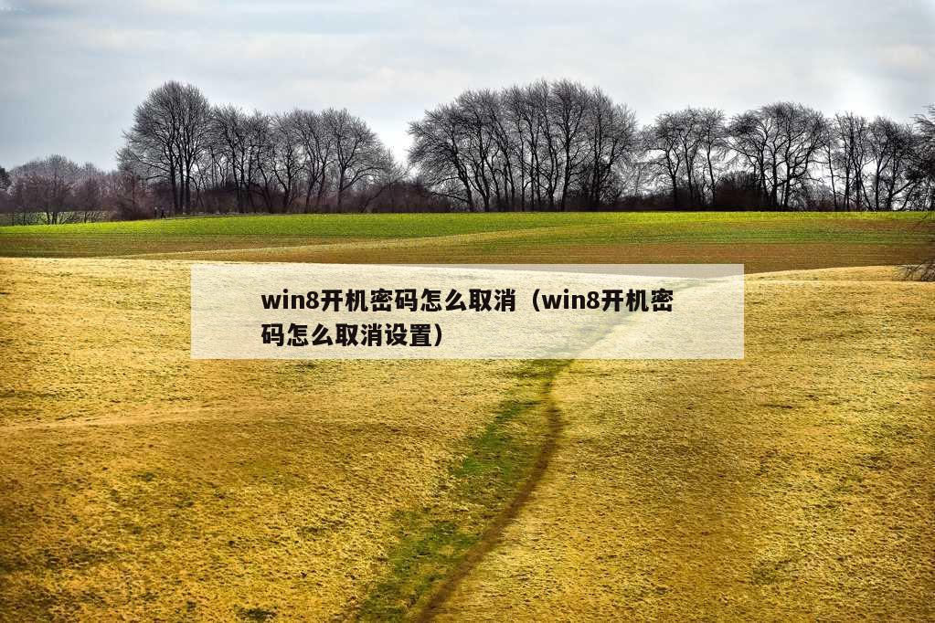 win8开机密码怎么取消（win8开机密码怎么取消设置）