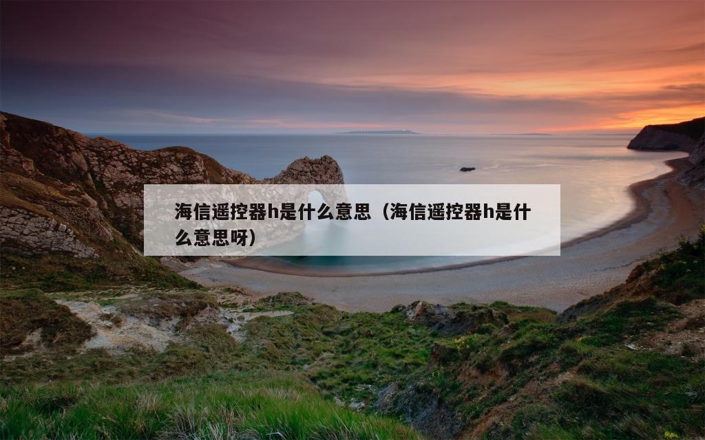 海信遥控器h是什么意思（海信遥控器h是什么意思呀）