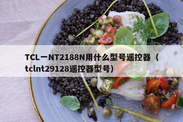 TCL一NT2188N用什么型号遥控器（tclnt29128遥控器型号）