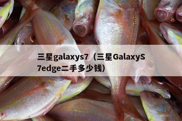 三星galaxys7（三星GalaxyS7edge二手多少钱）