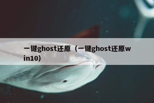 一键ghost还原（一键ghost还原win10）