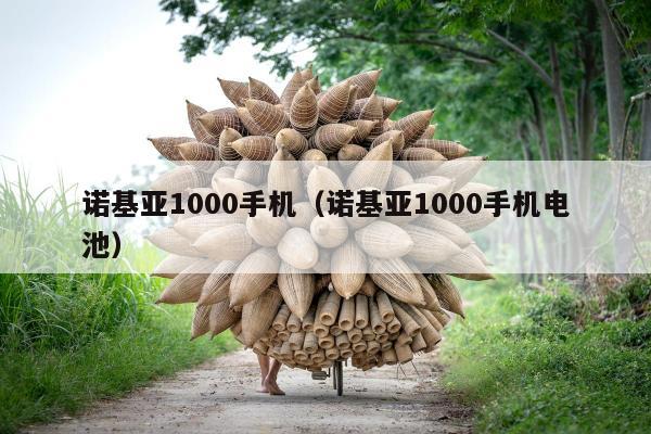 诺基亚1000手机（诺基亚1000手机电池）