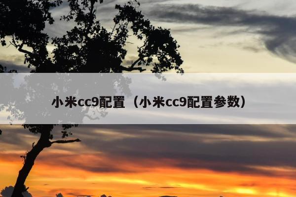 小米cc9配置（小米cc9配置参数）