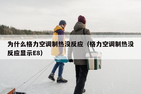 为什么格力空调制热没反应（格力空调制热没反应显示E8）