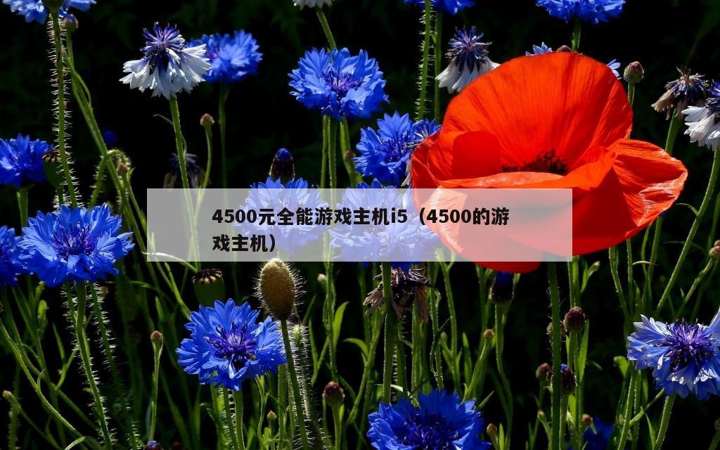 4500元全能游戏主机i5（4500的游戏主机）