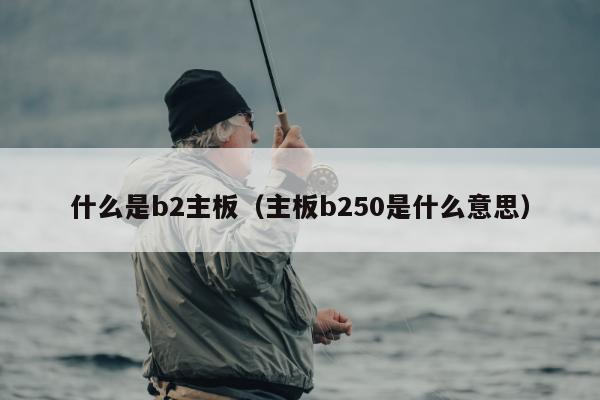 什么是b2主板（主板b250是什么意思）