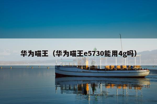 华为喵王（华为喵王e5730能用4g吗）