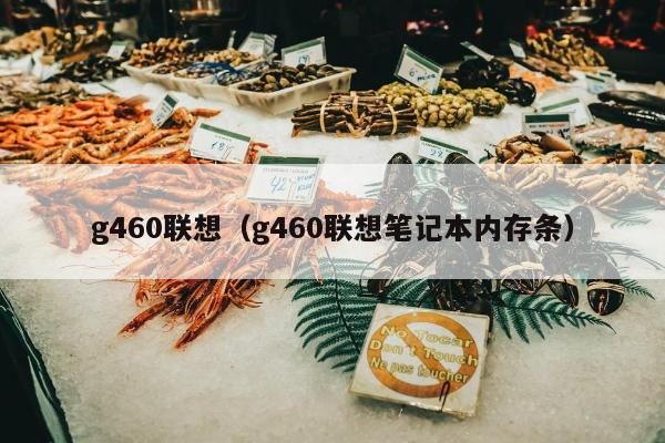 g460联想（g460联想笔记本内存条）