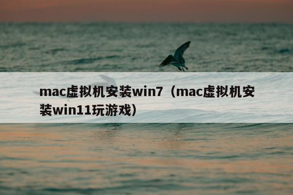 mac虚拟机安装win7（mac虚拟机安装win11玩游戏）