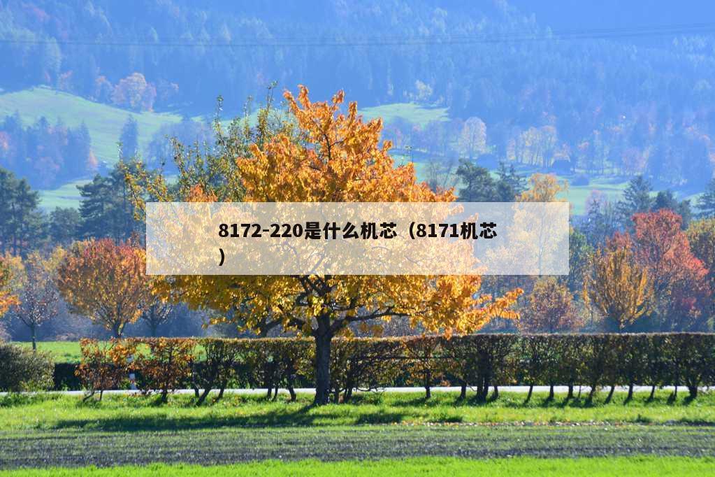 8172-220是什么机芯（8171机芯）