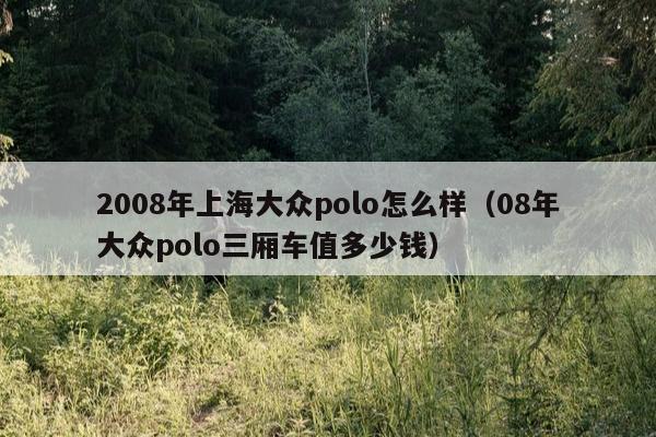 2008年上海大众polo怎么样（08年大众polo三厢车值多少钱）