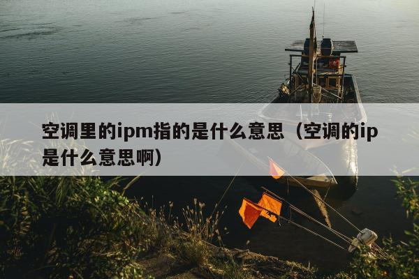 空调里的ipm指的是什么意思（空调的ip是什么意思啊）