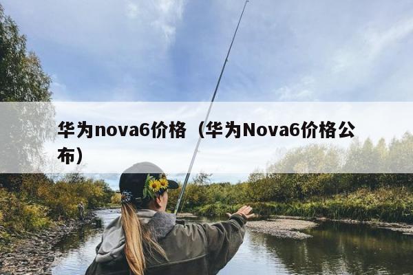 华为nova6价格（华为Nova6价格公布）