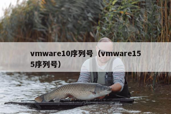 vmware10序列号（vmware155序列号）