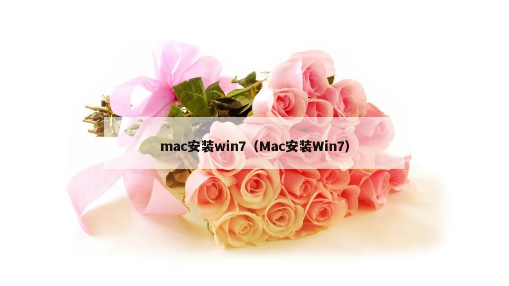 mac安装win7（Mac安装Win7）