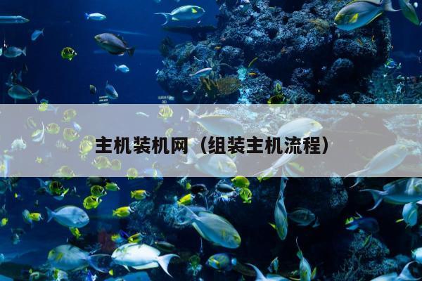 主机装机网（组装主机流程）