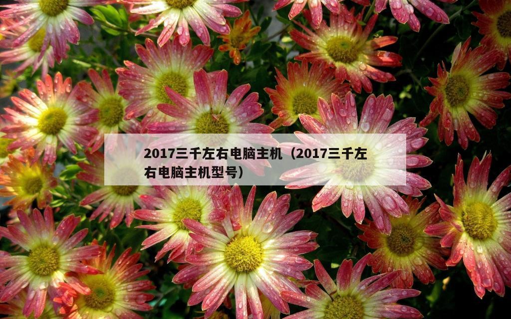 2017三千左右电脑主机（2017三千左右电脑主机型号）