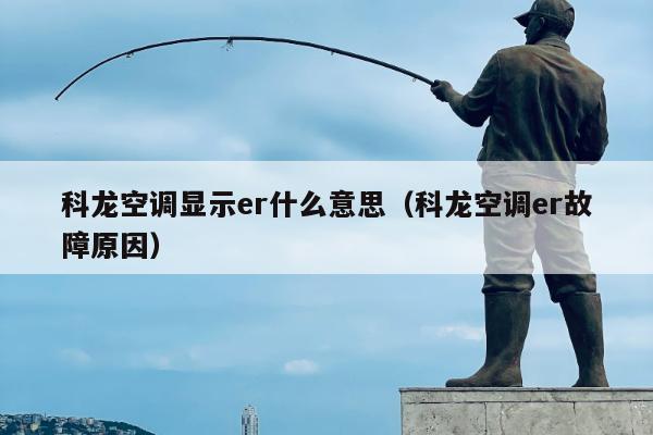 科龙空调显示er什么意思（科龙空调er故障原因）