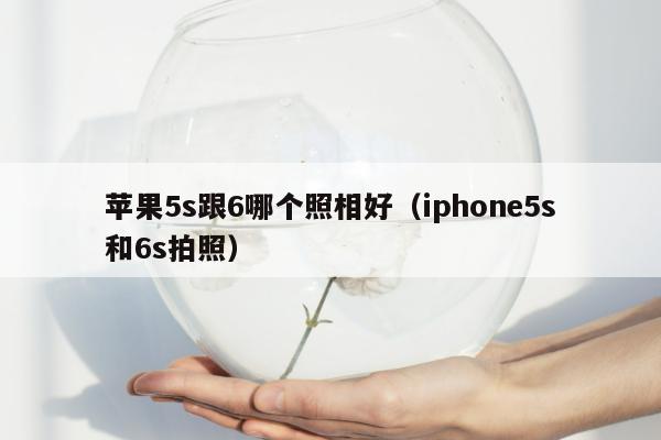 苹果5s跟6哪个照相好（iphone5s和6s拍照）