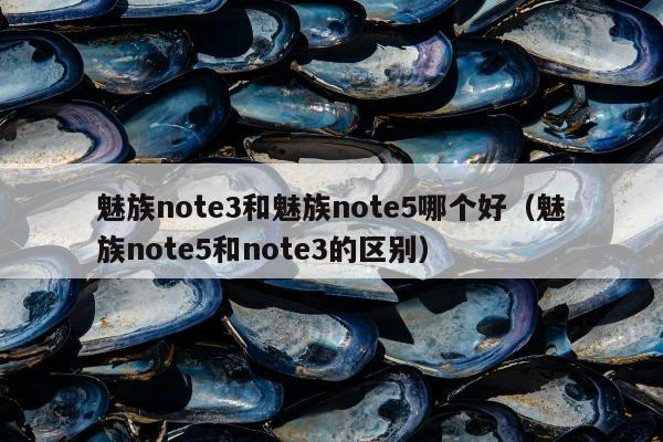 魅族note3和魅族note5哪个好（魅族note5和note3的区别）