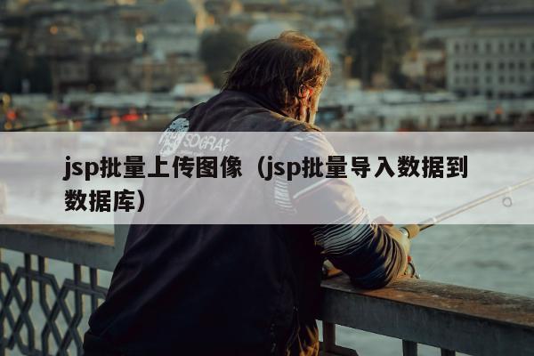 jsp批量上传图像（jsp批量导入数据到数据库）