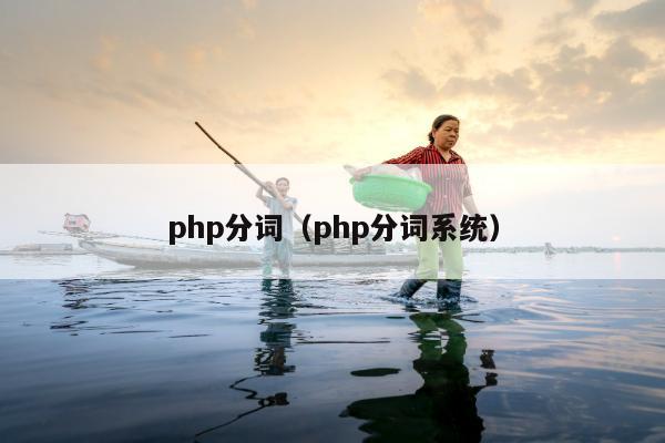 php分词（php分词系统）