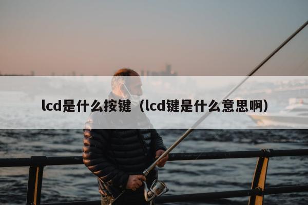 lcd是什么按键（lcd键是什么意思啊）