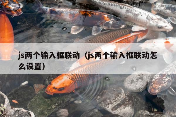 js两个输入框联动（js两个输入框联动怎么设置）