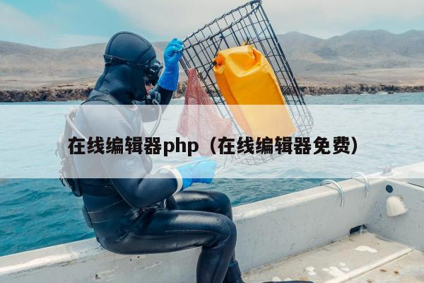 在线编辑器php（在线编辑器免费）