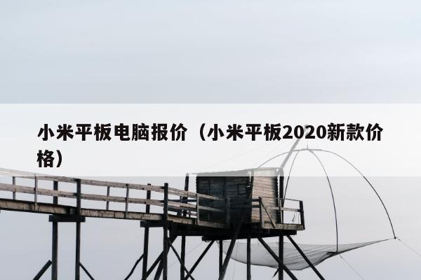 小米平板电脑报价（小米平板2020新款价格）