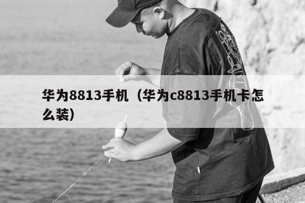 华为8813手机（华为c8813手机卡怎么装）