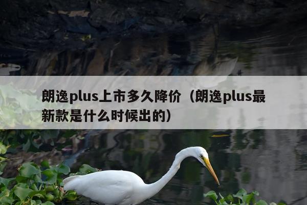 朗逸plus上市多久降价（朗逸plus最新款是什么时候出的）