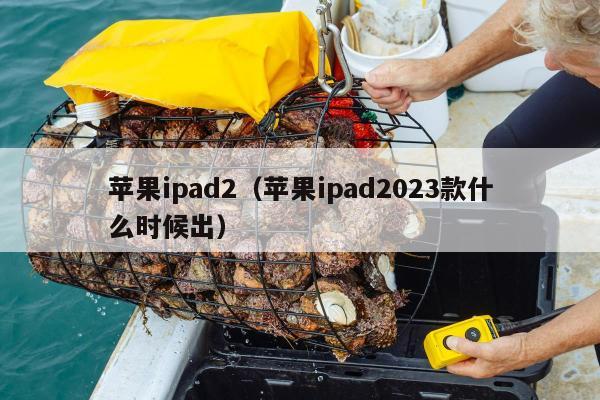 苹果ipad2（苹果ipad2023款什么时候出）