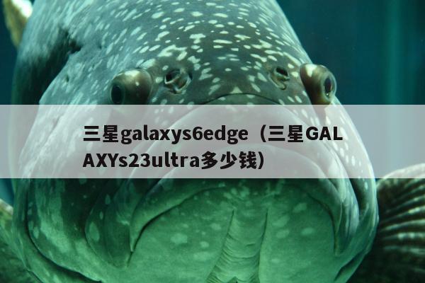 三星galaxys6edge（三星GALAXYs23ultra多少钱）