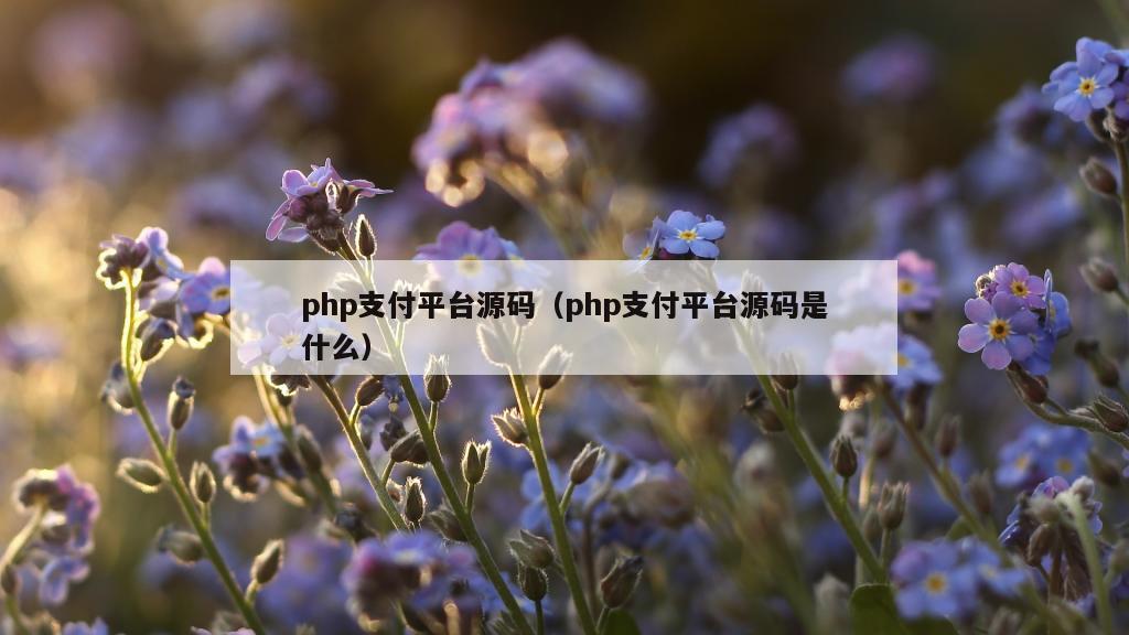 php支付平台源码（php支付平台源码是什么）