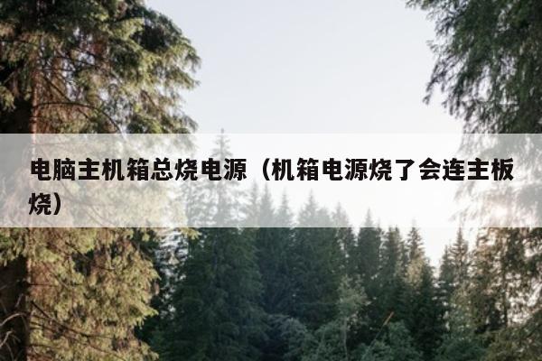 电脑主机箱总烧电源（机箱电源烧了会连主板烧）