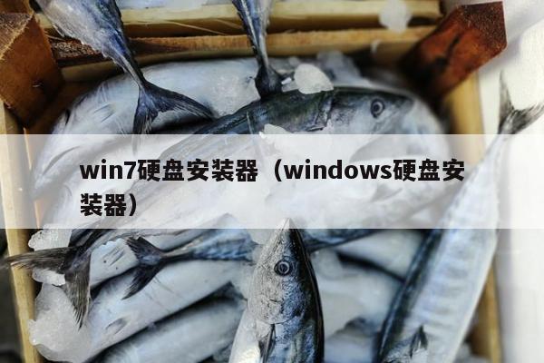 win7硬盘安装器（windows硬盘安装器）