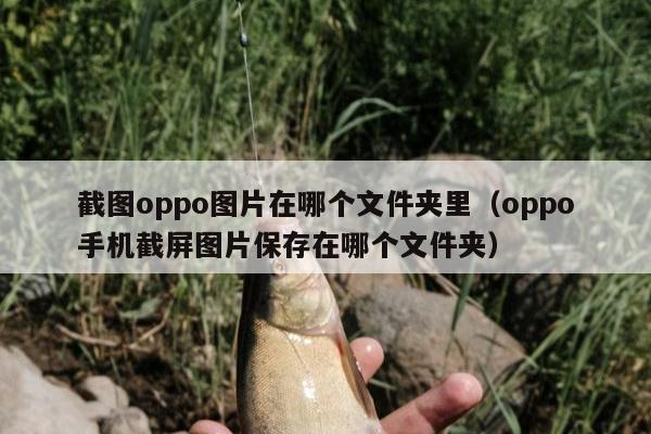 截图oppo图片在哪个文件夹里（oppo手机截屏图片保存在哪个文件夹）