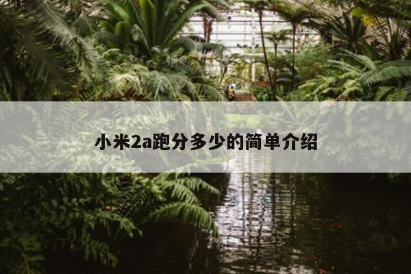 小米2a跑分多少的简单介绍