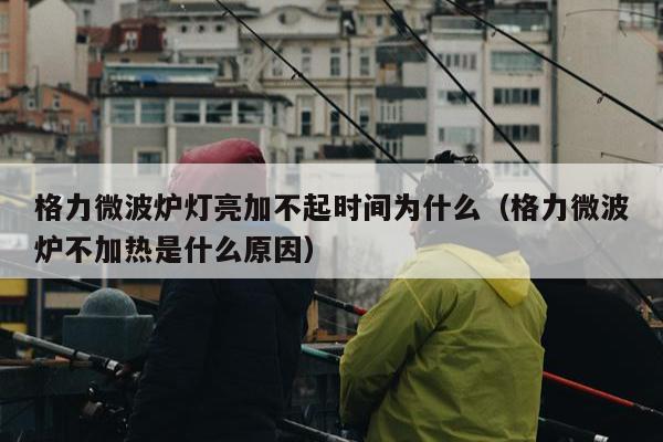 格力微波炉灯亮加不起时间为什么（格力微波炉不加热是什么原因）